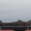 11_20-mast.jpg