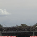 11_25-mast.jpg