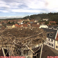 11_25-nest.jpg