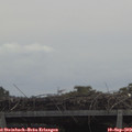 11_30-mast.jpg