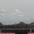 11_35-mast.jpg