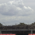 11_45-mast.jpg