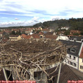 12_00-nest.jpg