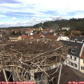 12_05-nest.jpg