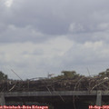 12_10-mast.jpg