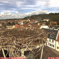 12_15-nest.jpg
