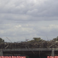 12_20-mast.jpg