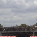 12_25-mast.jpg