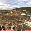 12_25-nest.jpg
