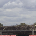 12_35-mast.jpg
