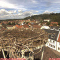 12_35-nest.jpg