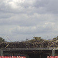 12_40-mast.jpg