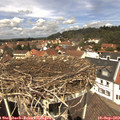 12_40-nest.jpg