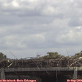 12_45-mast.jpg