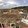 12_45-nest.jpg