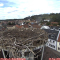 12_55-nest.jpg