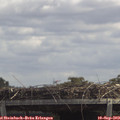 13_00-mast.jpg