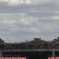 13_05-mast.jpg