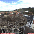 13_10-nest.jpg