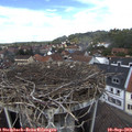 13_15-nest.jpg