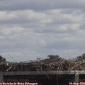 13_20-mast.jpg