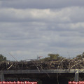 13_25-mast.jpg