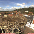 13_30-nest.jpg