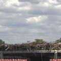 13_35-mast.jpg