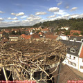 13_35-nest.jpg