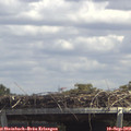 13_40-mast.jpg