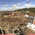 13_40-nest.jpg