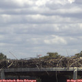 13_45-mast.jpg
