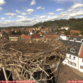 13_55-nest.jpg