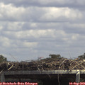 14_00-mast.jpg