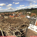 14_00-nest.jpg