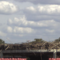 14_05-mast.jpg