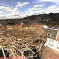 14_05-nest.jpg