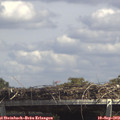 14_10-mast.jpg