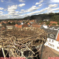 14_10-nest.jpg