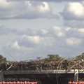 14_15-mast.jpg
