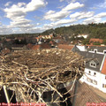 14_15-nest.jpg