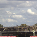 14_20-mast.jpg