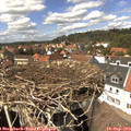 14_20-nest.jpg