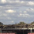 14_25-mast.jpg