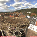 14_25-nest.jpg