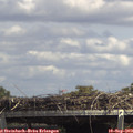 14_30-mast.jpg