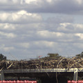 14_35-mast.jpg