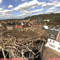 14_35-nest.jpg
