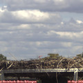 14_40-mast.jpg
