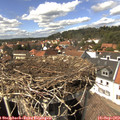 14_40-nest.jpg
